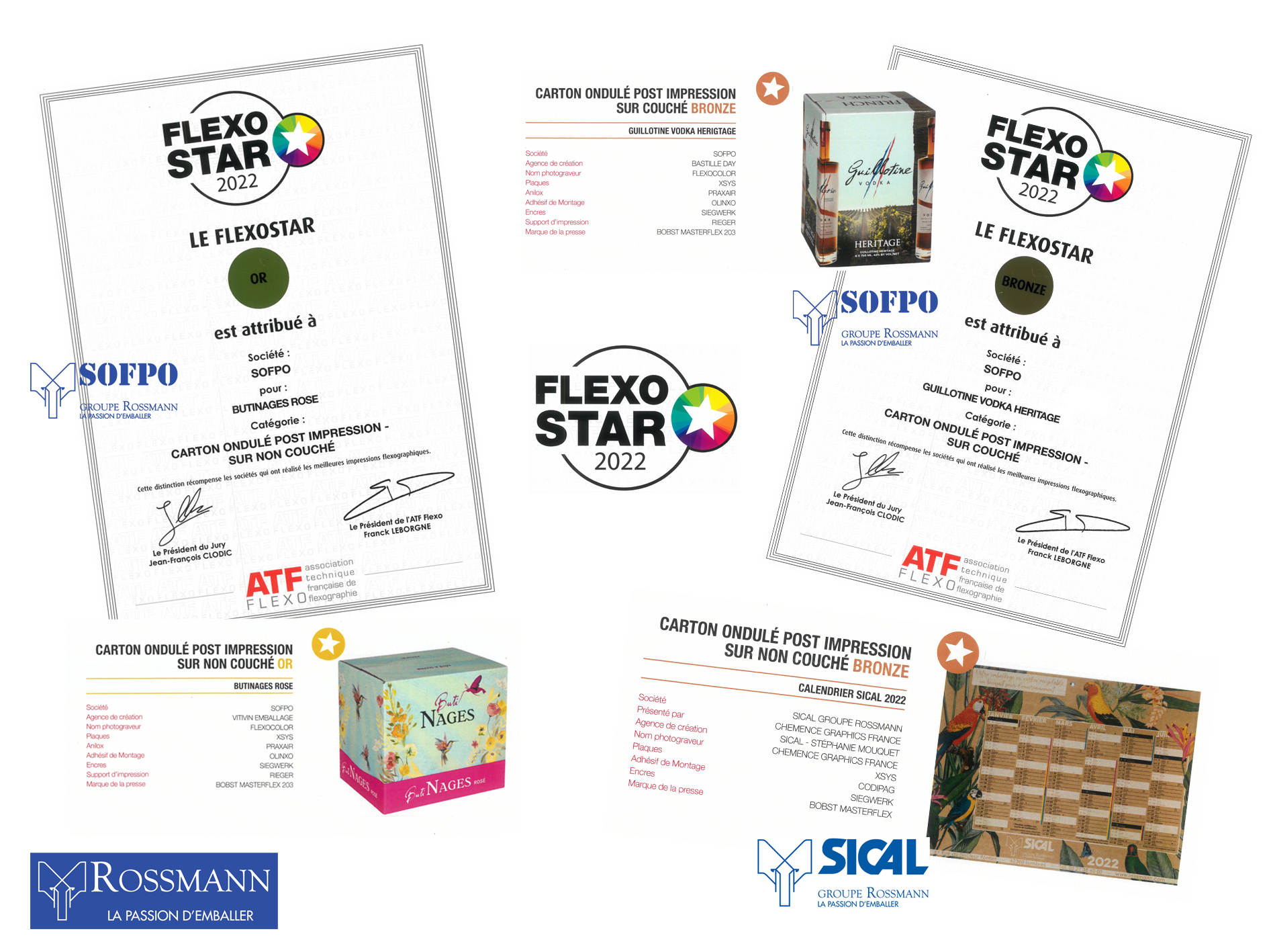 RossmannFlexoStars_2022